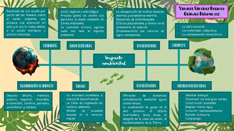 Top Imagen Mapa Mental Sobre El Impacto Ambiental Viaterra Mx