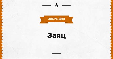 Заяц • Arzamas