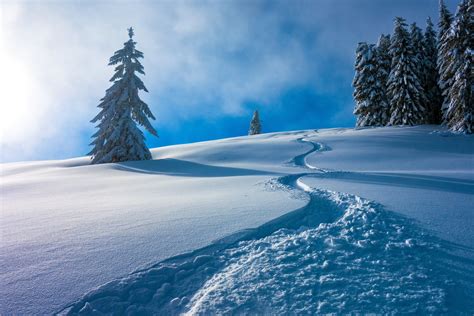 «Berchtesgaden National Park» HD Wallpapers