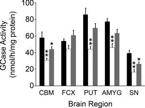 Glucocerebrosidase enzyme (GCase) deficiency in Parkinson disease (PD ...