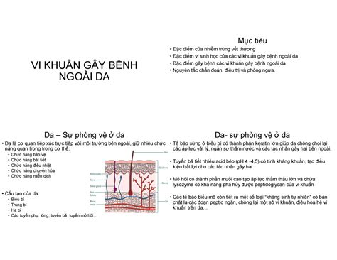Vi Khuan Gay Benh Ngoai Da Vikhu Ng Yb Nh Ngo I Da M C Ti U C I M C A Nhi M Tr Ng V T