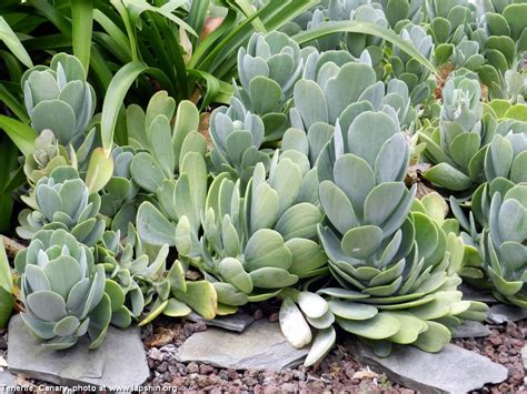 Travels: Peter Lapshin's photo albums