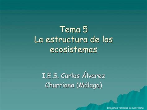 PDF Tema 5 La Estructura De Los Ecosistemas La Estructura De Los