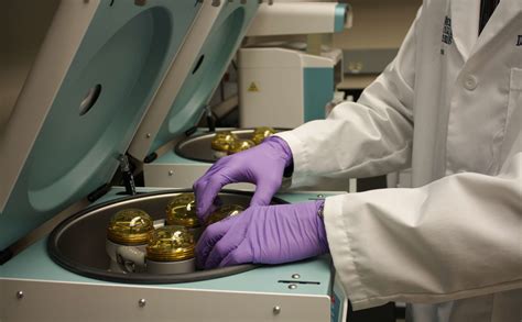 MCW Tissue Bank | Pathology & Laboratory Medicine | Medical College of