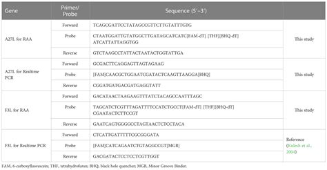 Frontiers Rapid Detection Of Mpox Virus Using Recombinase Aided