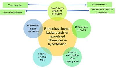 Frontiers Sex Differences In Hypertension Do We Need A Sex Specific