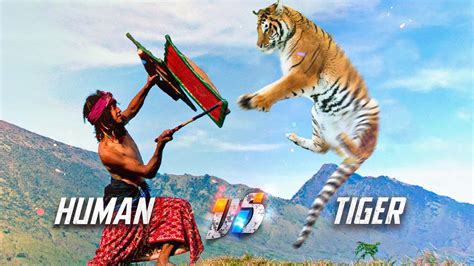 Human Vs Tiger Youtube