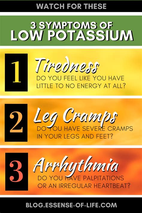 Fast Heart Rate And Low Potassium At Kerstin Inman Blog