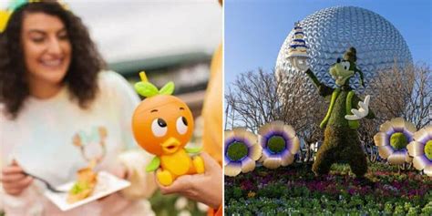 Cant Make It To Epcot Heres Where To Get Your Orange Bird Sipper