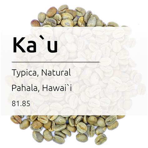 Typica, Natural, Prime, Green Beans Wholesale, Pahala, Ka`u – Hawaiian ...