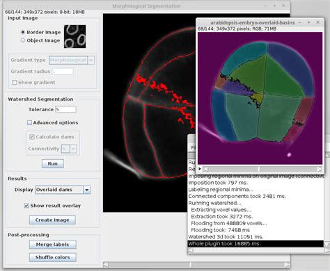 Morphological Segmentation