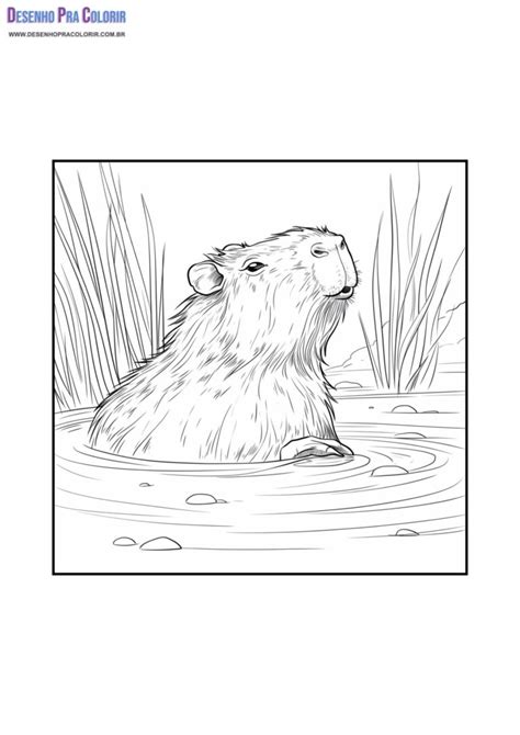 Capivara Para Colorir + De 40 Desenhos Para Imprimir e Pintar