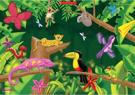 Rainforest Poster Scholastic Shop