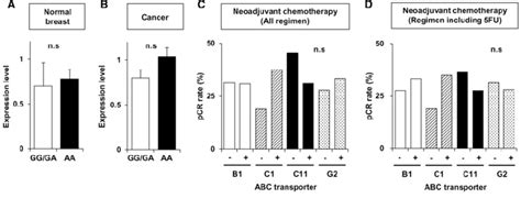 Semi-quantification of ABCC11 expression levels in normal breast tissue... | Download Scientific ...