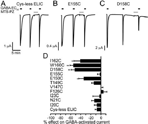 Cysteine Scanning Mutagenesis Of The Loop In Elic A