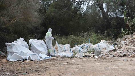 Santanyí ya limpia los terrenos donde se construirá el nuevo punto