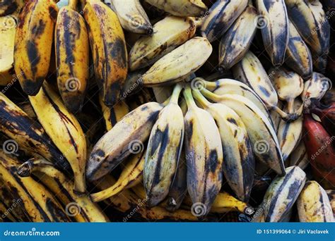 Banana Fruits From Africa Stock Photo Image Of Fruits 151399064