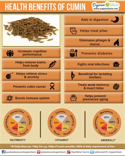 Under The Angsana Tree Health Benefits Of Cumin Seeds 47382 Hot Sex Picture