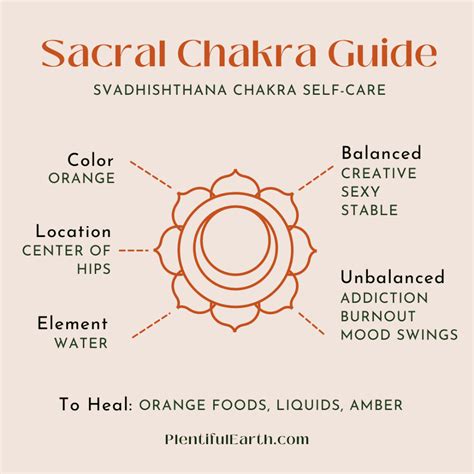 The Beginner Guide To The Chakras Quick Tips To Unblock Them Artofit