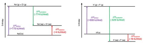 11.1 The Dissolution Process | General College Chemistry II