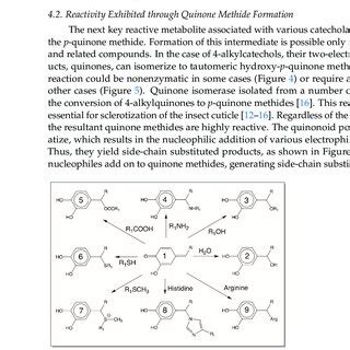 Further reactions of hydroxy catechols and amino catechols. Both ...