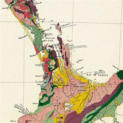Geological Map of New Zealand Geologic New Zealand Map - Etsy