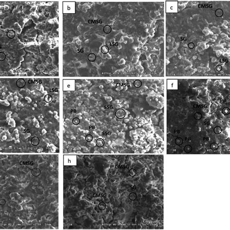 Scanning Electron Micrographs Of Rice Varieties A Sr 2 B