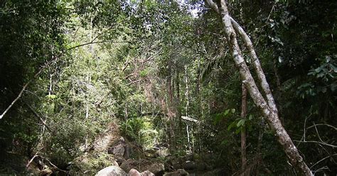 WEBS OF SIGNIFICANCE: The world's smallest national park (Photo-essay)