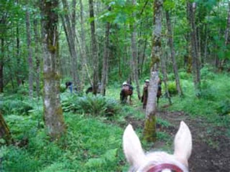 Cougar Mountain Regional Park - TrailMeister