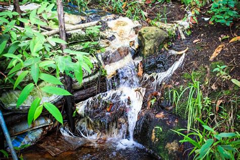 Check dam in forest stock photo. Image of camp, moss - 60921184