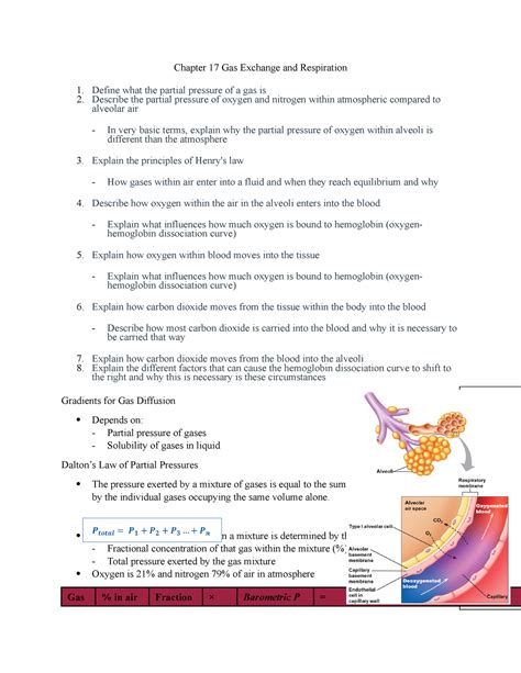 Chapter Gas Exchange And Respiration Chapter Gas Exchange And