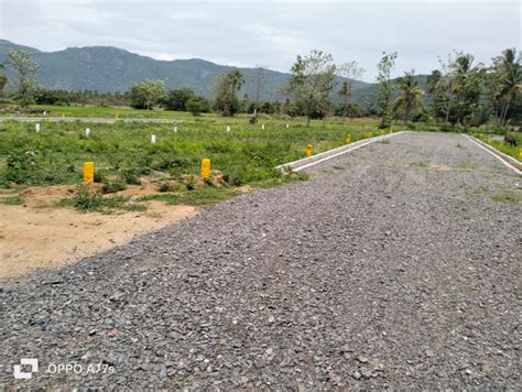 Residential Plot 1000 Sq Ft For Sale In Anaicut Vellore REI1181556