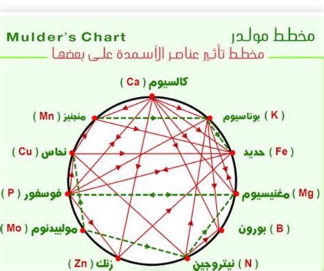 زتونة زراعية العوامل المؤثرة على إمتصاص النبات العناصر الغذائية