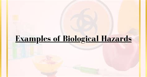 Examples of Biological Hazards - Vivid Examples