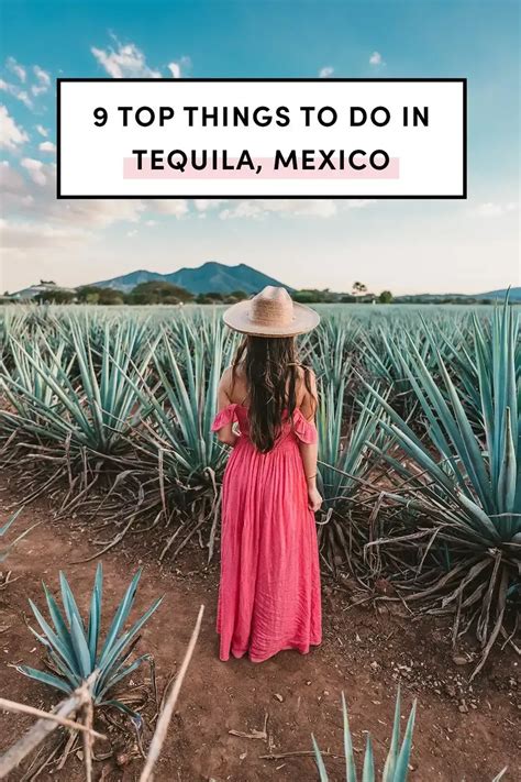 There Are A Few Things You Absolutely Must Do When Visiting Tequila