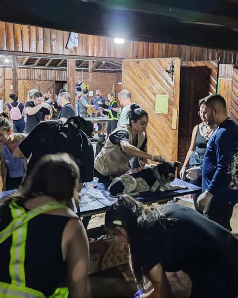 Hospital Veterin Rio No Rs Recebe Cuidados De Mais De Mil Animais