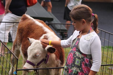 Petting Zoo | Woodloch Resort