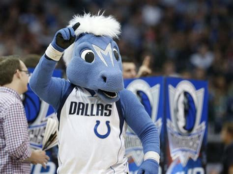 Ranking Nba Mascots Hoops Amino