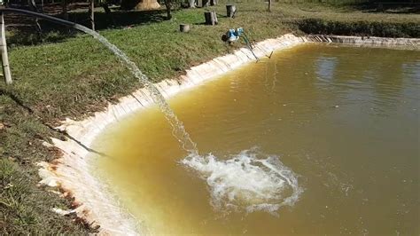 Como Fazer Um Tanque Para Criar Peixe Aprenda Em Passos