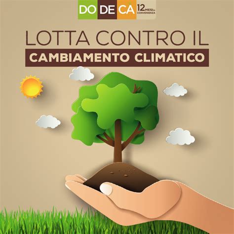 Il Cambiamento Climatico Il Ruolo Vitale Degli Alberi Nellagenda