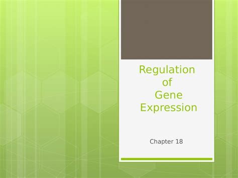 Ppt Regulation Of Gene Expression Chapter 18 Overview Of Gene Expression The Control Of Gene