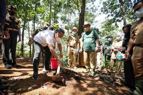 Peringati Hari Bumi Pemkot Bandung Tanam Ribu Pohon Kopi