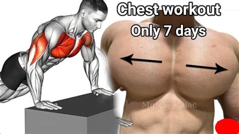 Top Inner Lower And Upper Chest Workout At Gym Meilleurs Exs Must