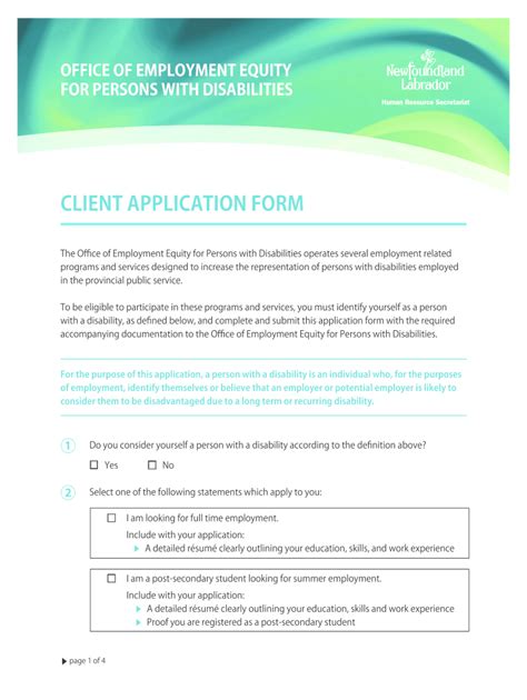 Employment Equity Application Form Fill Out Sign Online Dochub