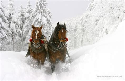 Great Things to Do in Durango in Winter | Durango Colorado Vacations