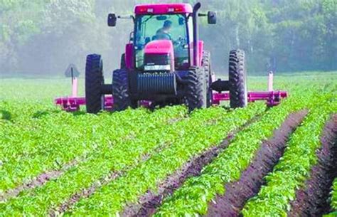 Activité agricole la production se poursuit et couvre largement les