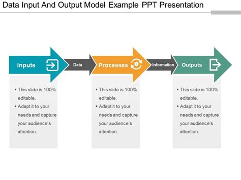 Data Input And Output Model Example Ppt Presentation Powerpoint Design Template Sample