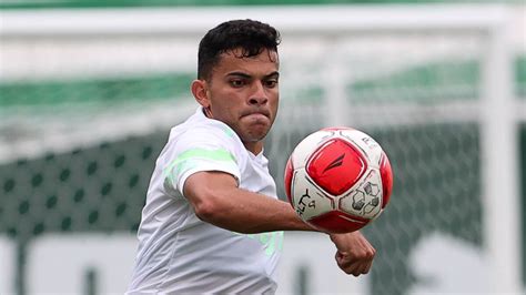 Palmeiras tem quatro desfalques para clássico o Santos