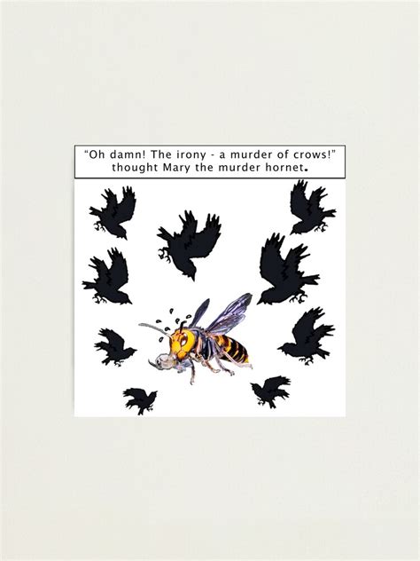 Stone The Crows Says The Mary The Murder Hornet Photographic Print For Sale By Mk888732