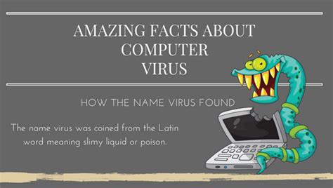 Amazing Facts About Computer Virus Infographic Infographic Plaza